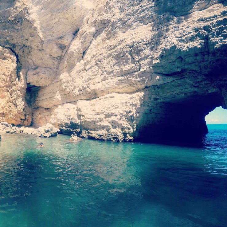 DCIM100GOPROGOPR0407.